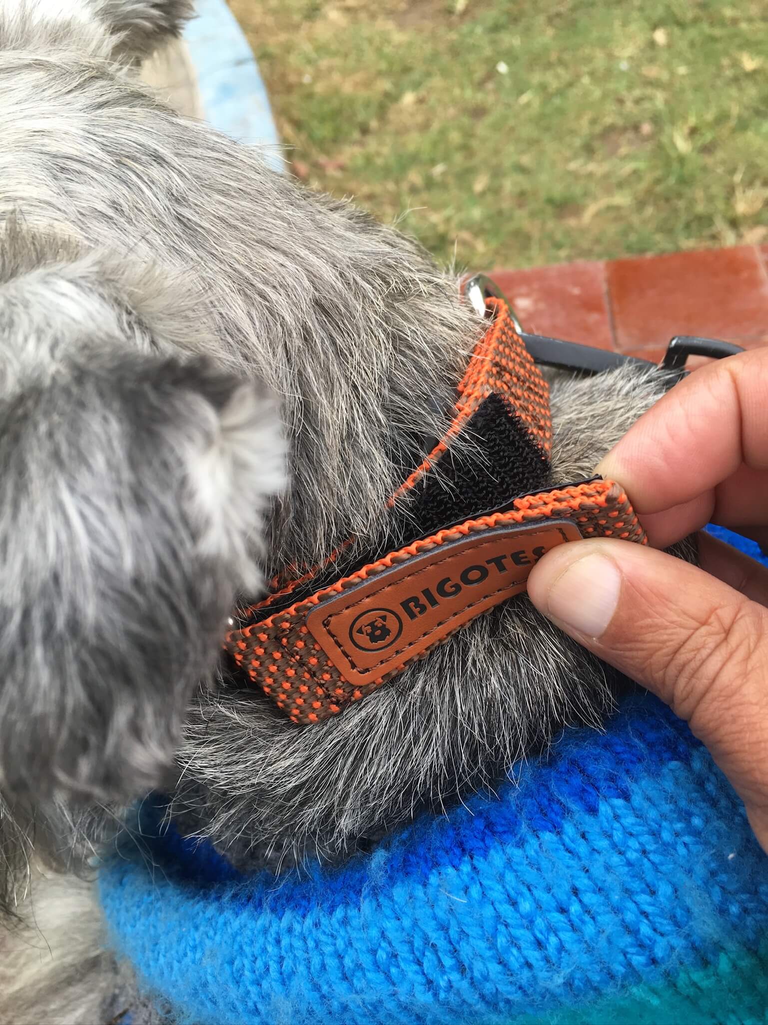 collar