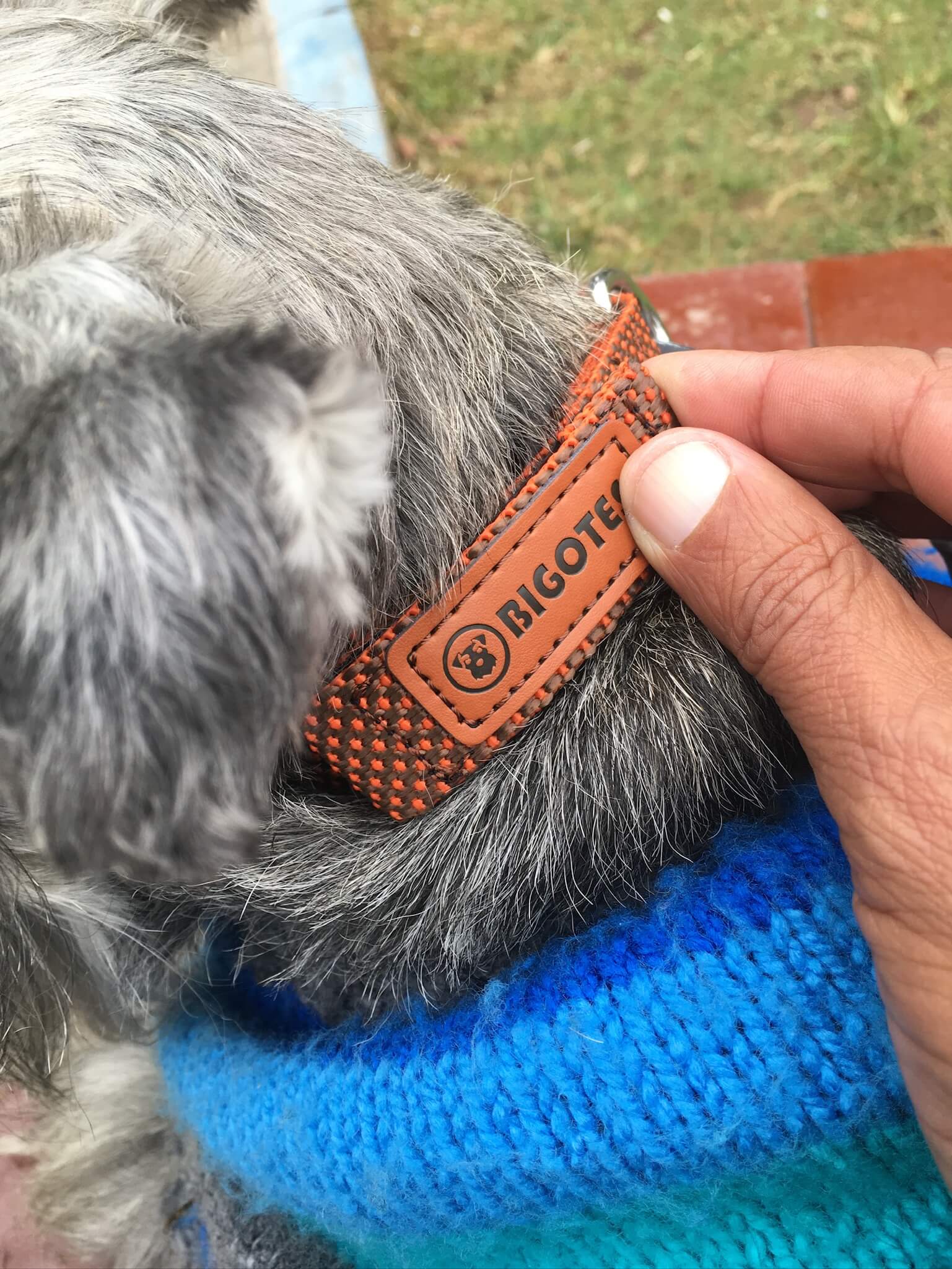 collar